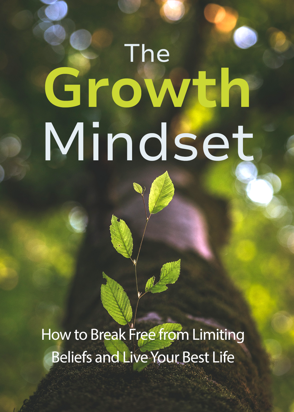 Developing a Growth Mindset